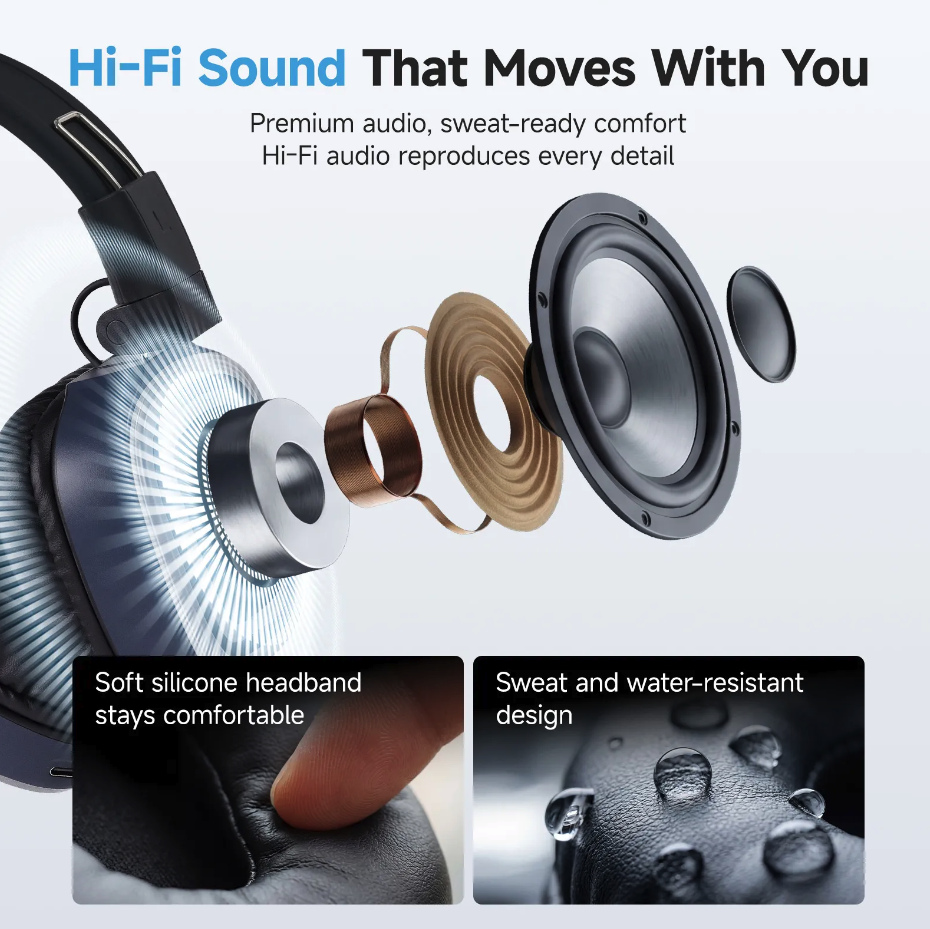 Diagram of the headset's hi-fi audio drivers